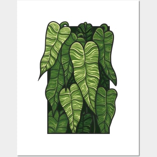 Anthurium Veitchii Doodle Posters and Art